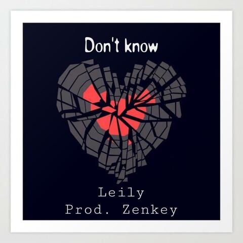 Don't Know (feat. Leily)
