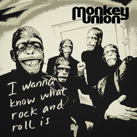 I Wanna Know What Rock'n'Roll Is