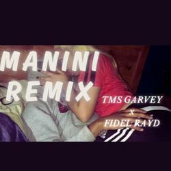 MANINI (feat. FIDEL RAYD)