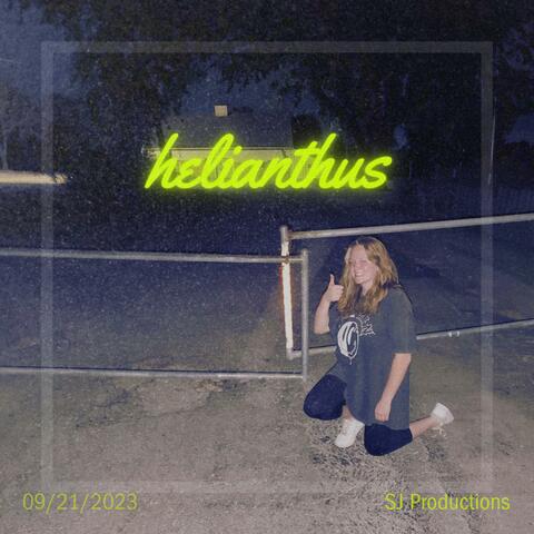 Helianthus