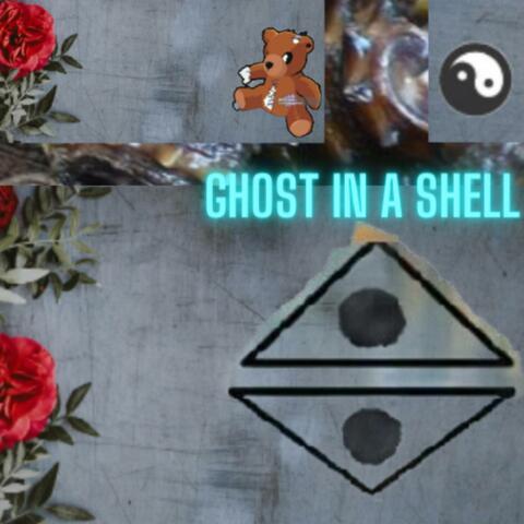 Ghost In A Shell