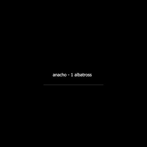 Un albatross