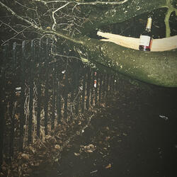 Boards (feat. yvtdavid(leany))