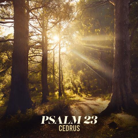 Psalm 23 (feat. Caleb J. Dutton & Amanda Porter)