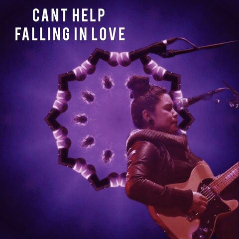Can't Help Falling In Love