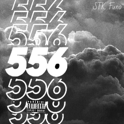 556  (PIMP STKMIX)