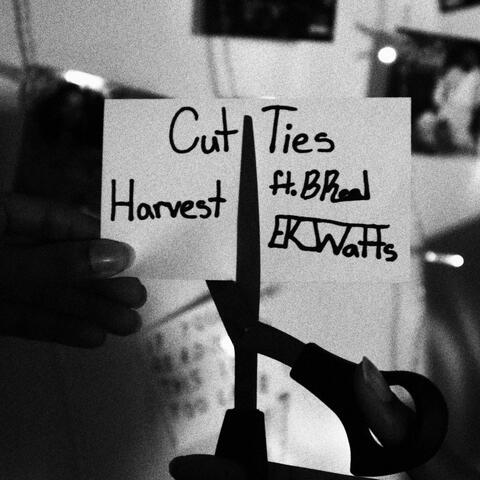 Cut Ties (feat. BReal & Ek_watts)