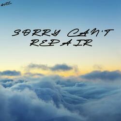 Sorry can't repair