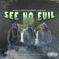 See No Evil (feat. Cam'ron)