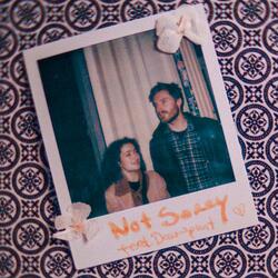 Not Sorry (feat. Dauwpunt)