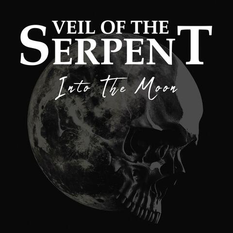 Into The Moon