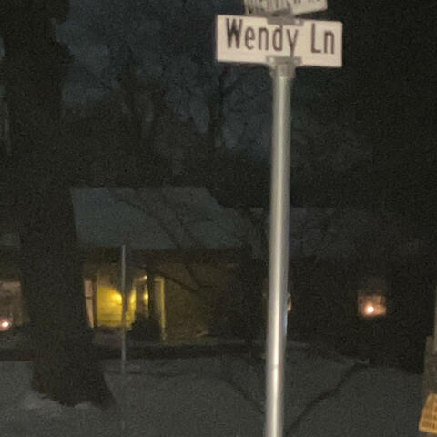 Wendy Lane