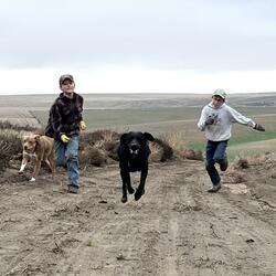 Where Have All My Friends Gone