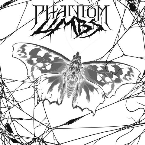 Butterfly Net (Feat. Jeff Carr)