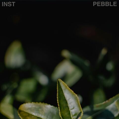 Pebble