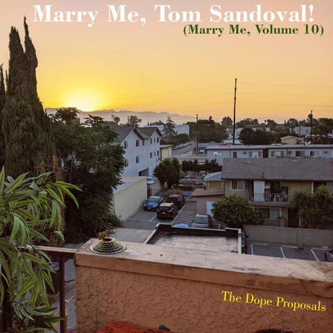 Marry Me, Tom Sandoval!, Vol. 10