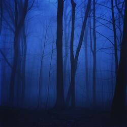 here (slowed + reverb)