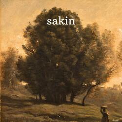 Sakin