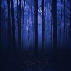 snow (slowed + reverb)