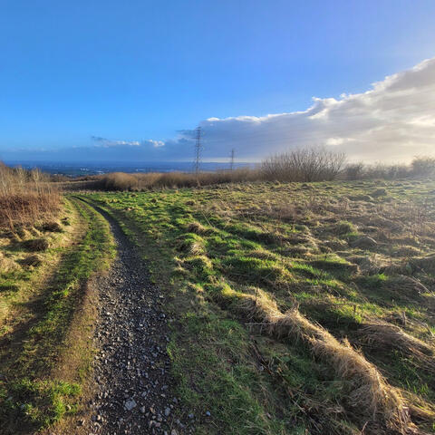 Subject To Change (Demo)