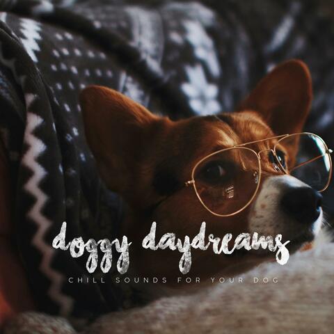 Doggy Daydreams (chill sounds for your dog)