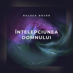 Înțelepciunea Domnului