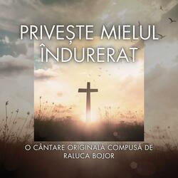 Privește Mielul Îndurerat