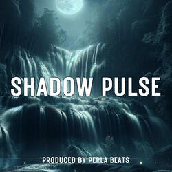 Shadow Pulse