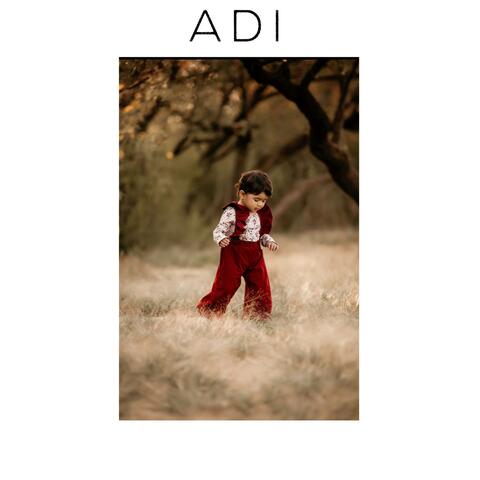 ADI