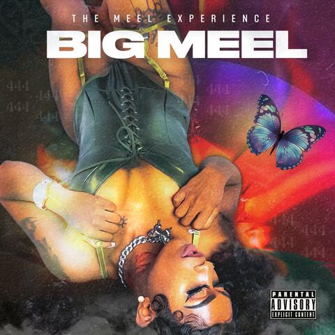 THE MEEL EXPERIENCE
