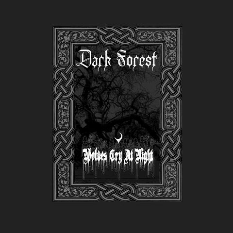 Dark Forest