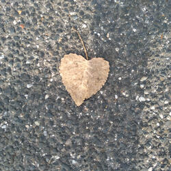 You Are Love