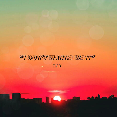 i don't wanna wait