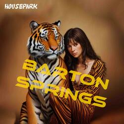 Barton Springs (feat. jachen)