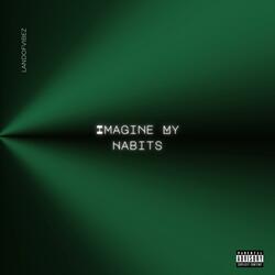 Imagine My Habits
