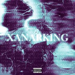 insomniac (feat. Kill Vexii)