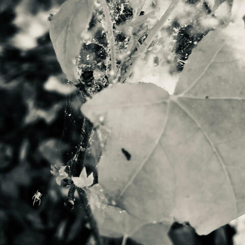 Lo-Fi 1.12 (Reprise )