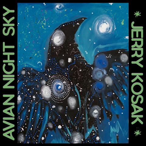 Avian Night Sky