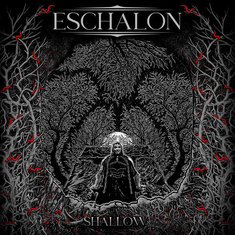 Shallow (feat. Haydn Connolly)
