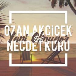 Yani Olmuyor (feat. Necdet Kuru)