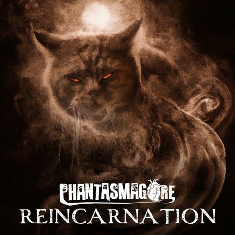 Reincarnation