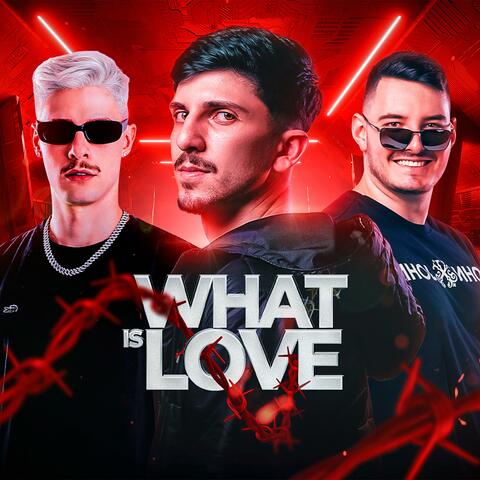 MEGA WHAT IS LOVE