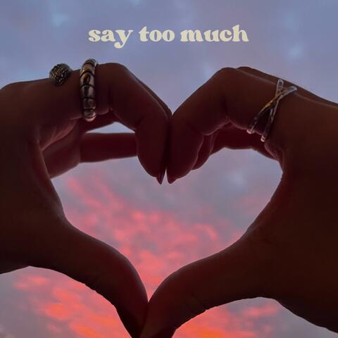 Say Too Much