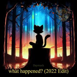 what happened?