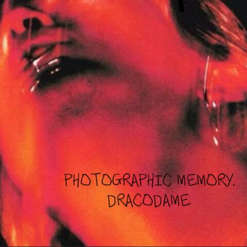 Photographic Memory