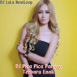 DJ Pica Pica Pargoy Terbaru Enak