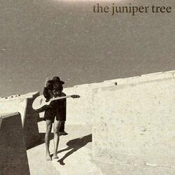 the juniper tree