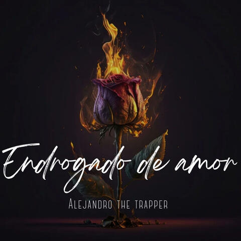 Endrogado De Amor