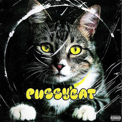 Pussycat