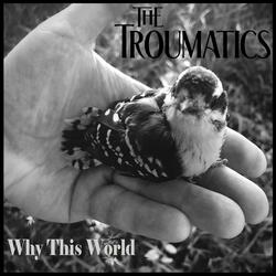 Why This World